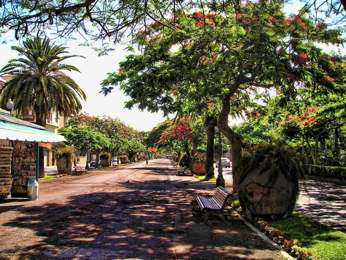 Flores&Campos Guest House Santa Cruz de Tenerife